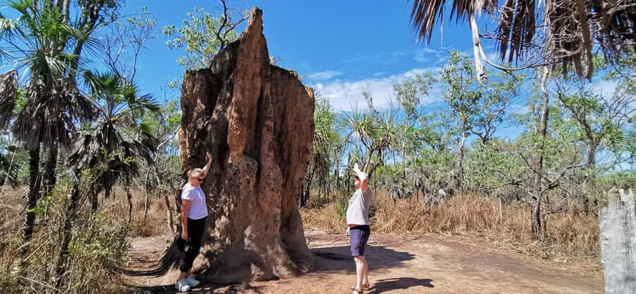 From Darwin: Litchfield National Park Small-Group Day Trip - Why Choose This Tour? Key Points at a Glance