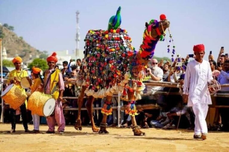 From Delhi: Ajmer and Pushkar 2-Day Tour with Car and Guide - Key Points