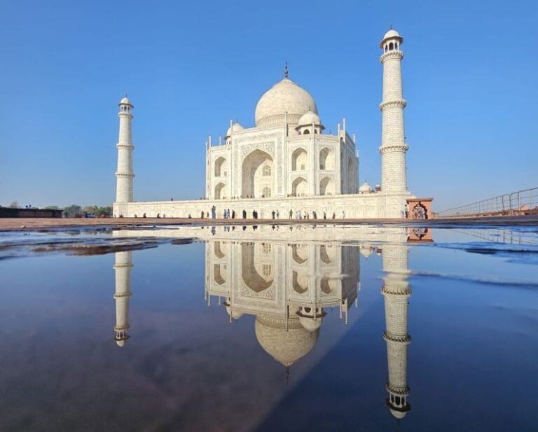 From Delhi: Exclusive Taj Mahal Sunrise, and Agra Fort Tour - The Practical Side: Transportation and Guides