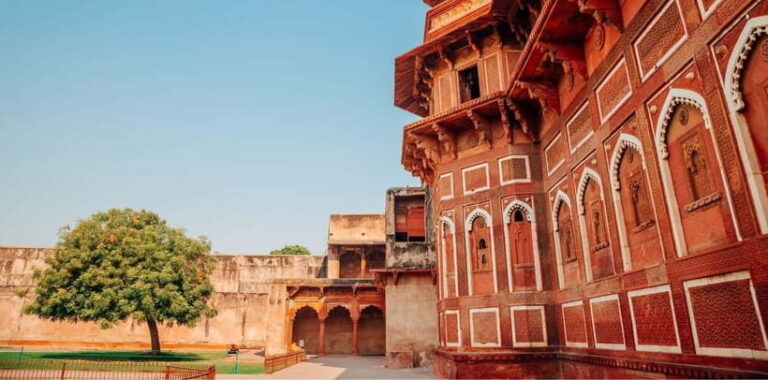 From Delhi: Sunrise Taj Mahal & Full Agra City Amazing Tour - Witnessing the Taj Mahal at Sunrise