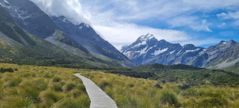 From Dunedin: Mt. Cook and Lake Pukaki Private Day Tour - Wildlife and Scenic Drives: Shag Point and Inland Highlights
