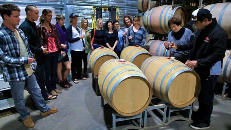 From Dunsborough/Busselton: Margaret River Wine Adventure - Who Will Love This Tour?