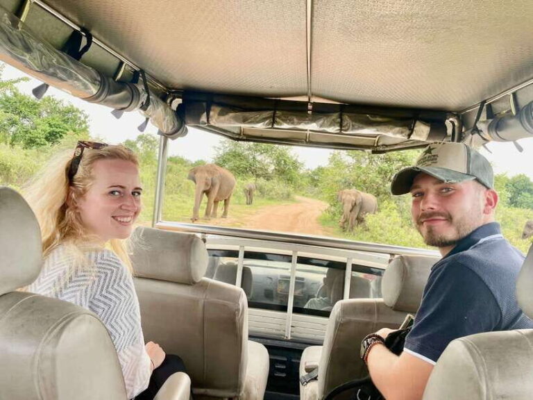 From Ella - Yala National Park Leopard Safari Tour - Exploring the Tour Itinerary in Detail