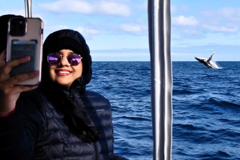 From Fremantle: 2-Hour Luxury Whale-Watching Cruise - Why This Tour is Worth Considering
