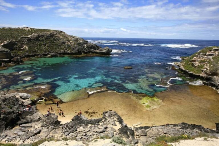 From Fremantle: Rottnest Island Ferry & Bus Day Tour - A Deep Dive into the Experience