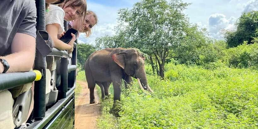 From Galle/Hikkaduwa/Mirissa Trip to Udawalawe Safari Tour - The Itinerary: What to Expect from Dawn to Dusk