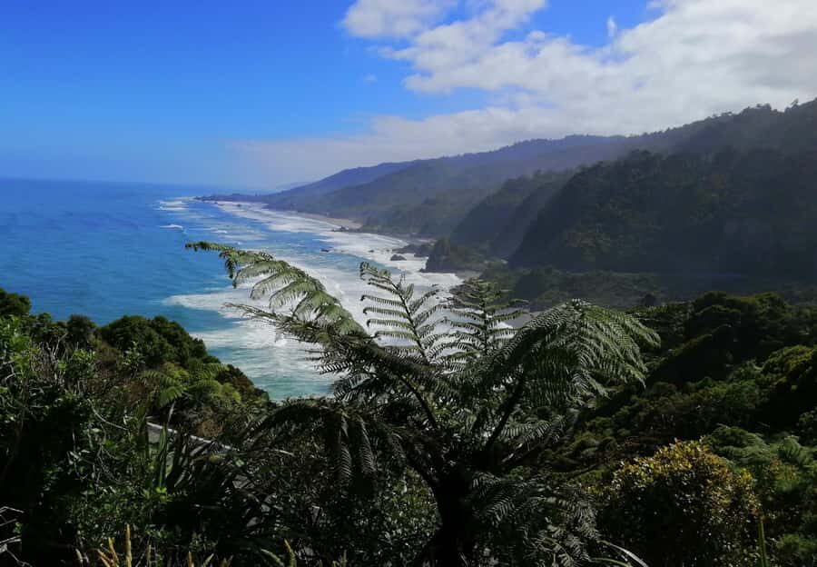From Greymouth: Highlights West Coast Day Tour - What’s the Value? Analyzing the Experience