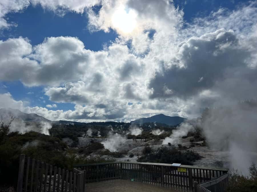 From Hamilton - WAI-O-TAPU, Redwood & Blue Springs Day Tour - What’s Involved: Transport, Timing, and Tips