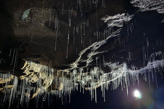 From Hamilton: Waitomo Glowworm & Cave Explorer Small Group Tour - The Itinerary Breakdown