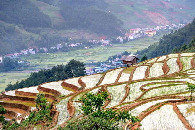 From Hanoi: 4-Day Mu Cang Chai Terraced Rice Fields Tour - What Makes This Tour Stand Out?