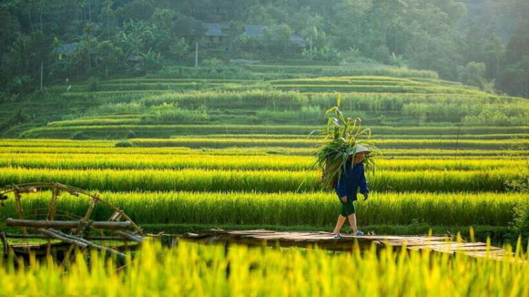 From Hanoi: Full-Day Hiking Tour of Pu Luong (Monday Only) - The Value for Your Money