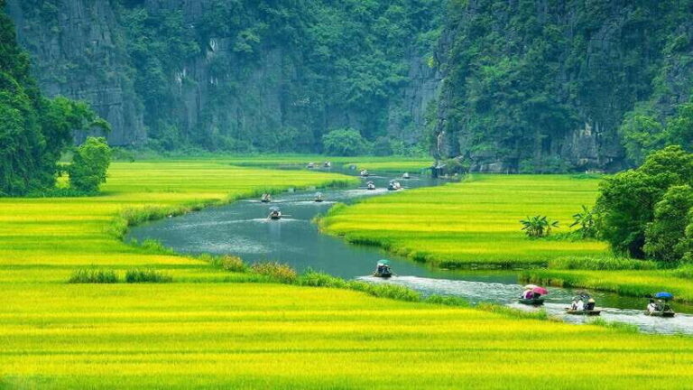 From Hanoi: Ninh Binh, Hoa Lu, Tam Coc boat trip & Mua cave - What to Expect on This Tour