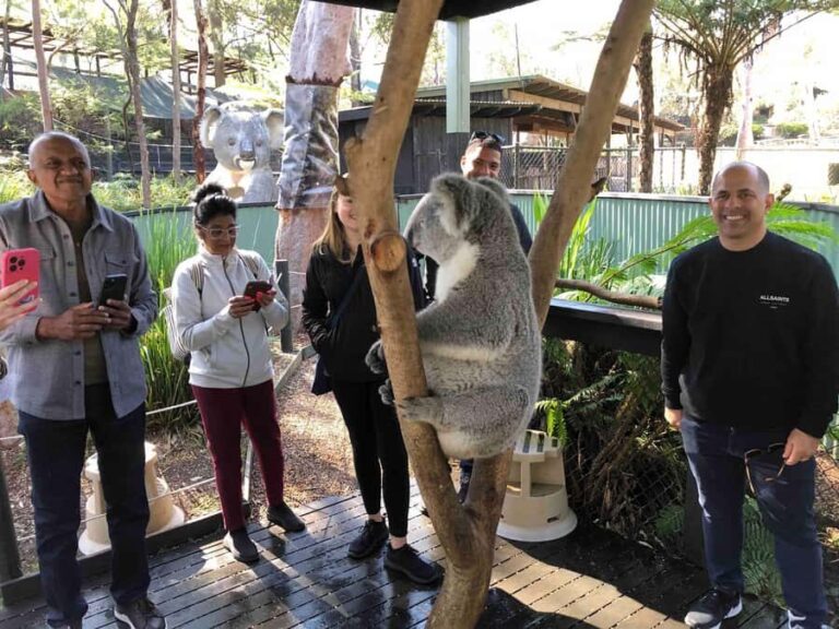 From Haymarket: Hunter Valley Wine and Wildlife Day Trip - Why This Tour Works Well