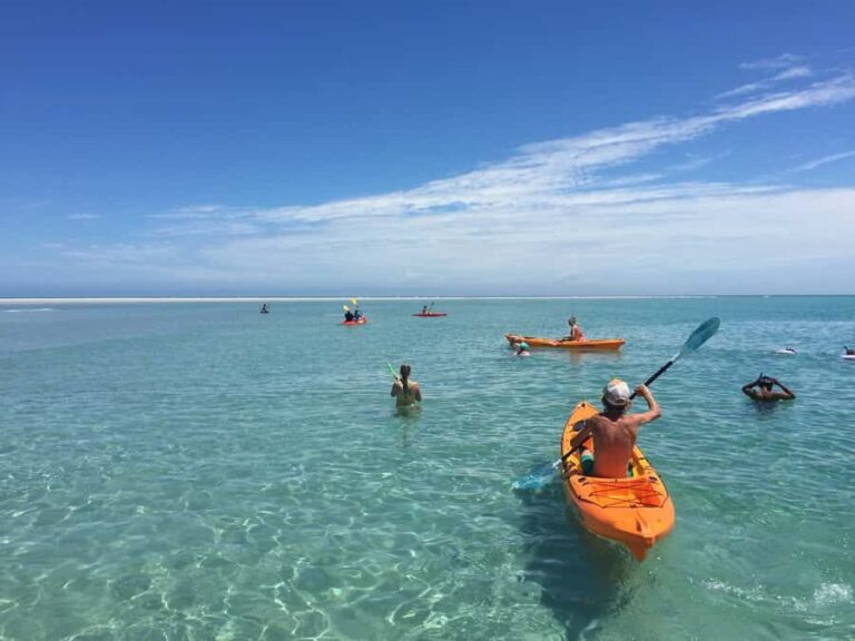 From Hervey Bay: Half-Day K'gari Fraser Island Beach Cruise - Practical Details and Tips for Travelers