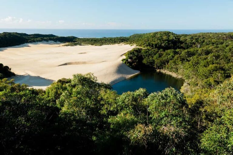 From Hervey Bay: K'gari, Fraser Island Two-Day Coach Tour - What You Can Expect: A Day-by-Day Breakdown