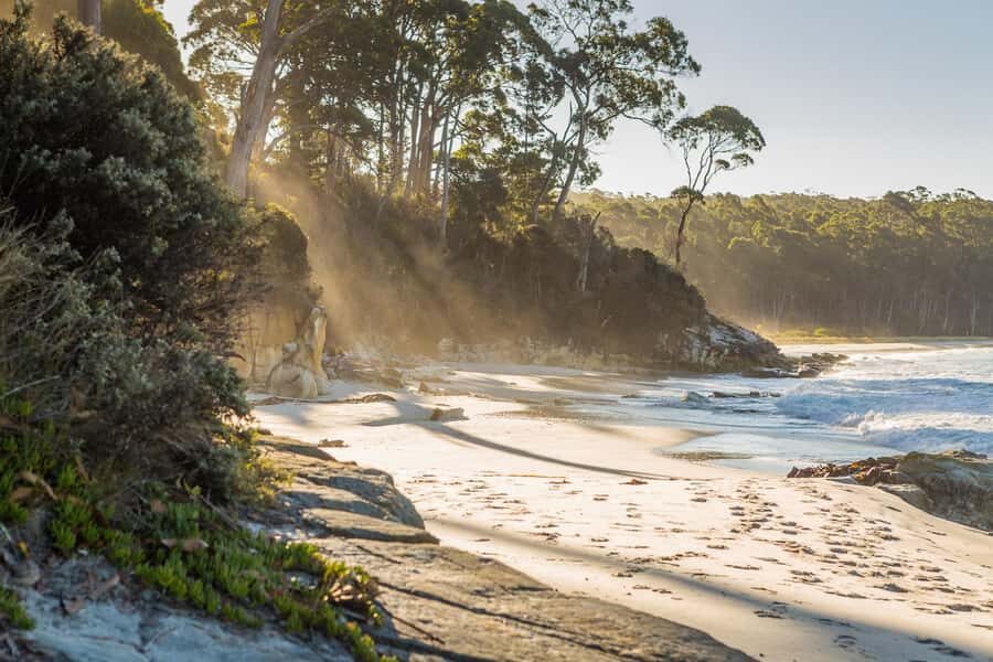 From Hobart: Full-Day Bruny Island Tour with Guide - An In-Depth Look: The Bruny Island Full-Day Experience
