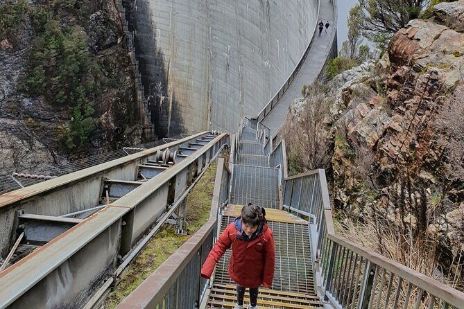 From Hobart: Gordon Dam and Lake Pedder Wilderness Day Tour - Practical Details and Value