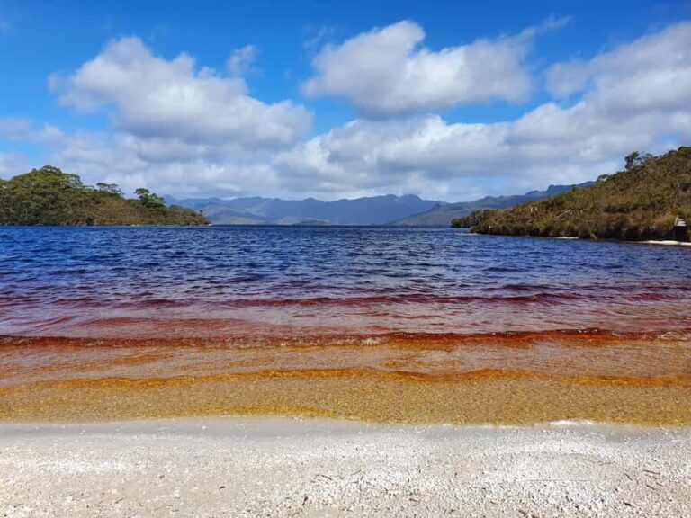 From Hobart: Gordon Dam and Lake Pedder Wilderness Day Tour - The Experience in Detail