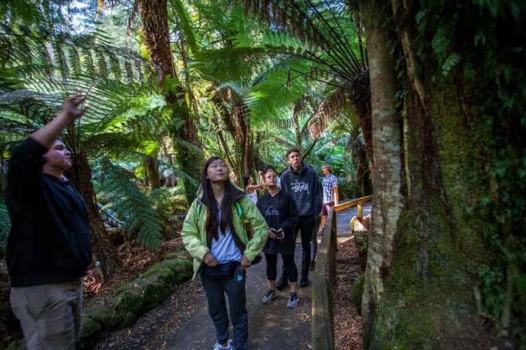 From Hobart: Mt. Field, Mt. Wellington and Wildlife Day Tour - What Makes This Tour Stand Out