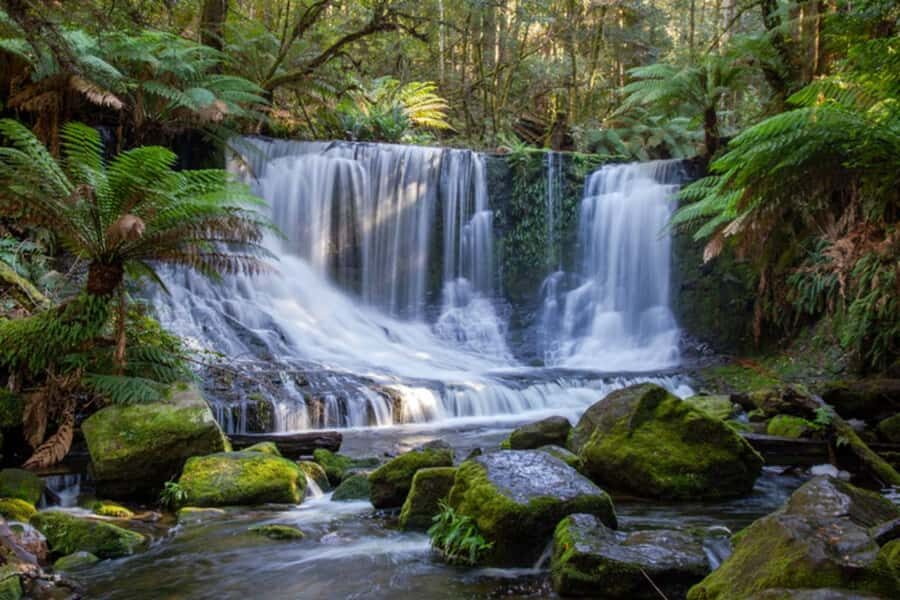 From Hobart: Mt. Field National Park and Russell Falls - The Practicalities