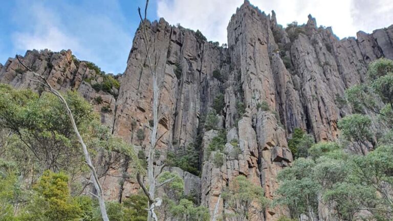 From Hobart: Mt Wellington Morning Walking Tour - Who Will Love This Tour?