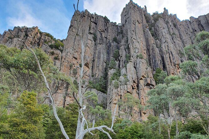 From Hobart: Mt Wellington Morning Walking Tour - What You’ll Get and What to Keep in Mind