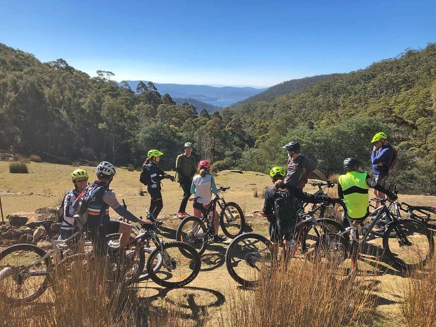 From Hobart: Mt Wellington Summit & Rainforest Bike Tour - The Experience in Detail