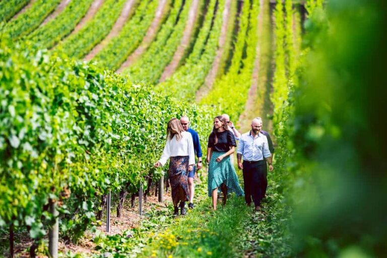 From Hobart: Tasmanian Wine Tour - What the Reviews Say