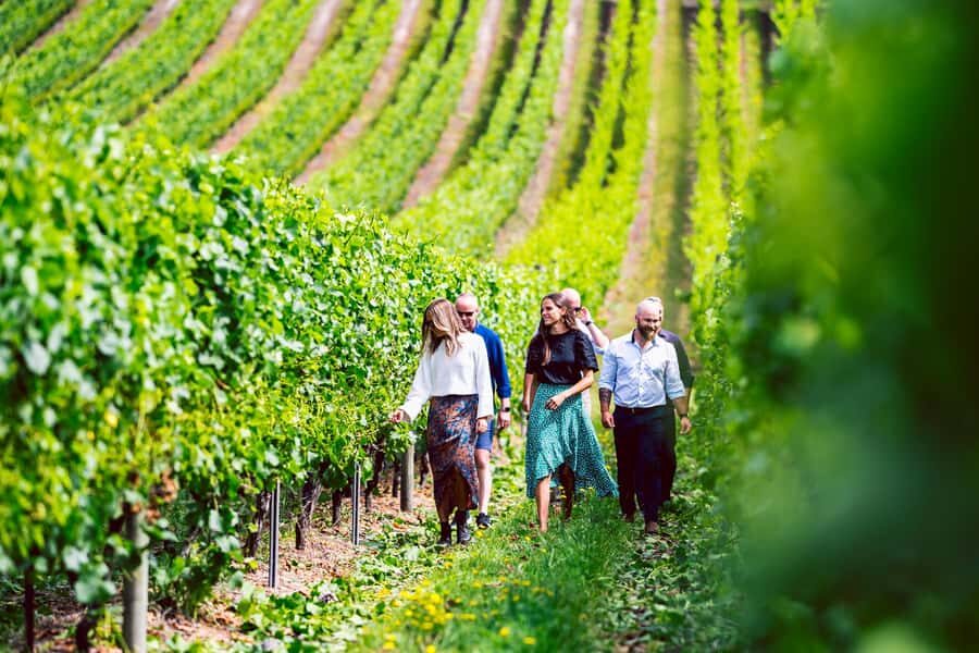 From Hobart: Tasmanian Wine Tour - What the Reviews Say