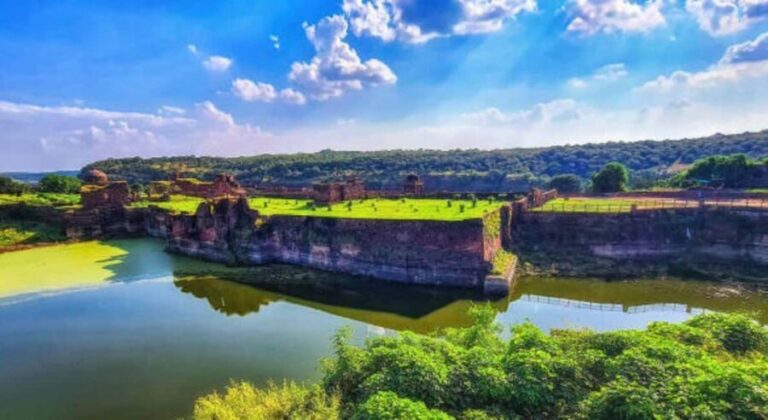 From Jaipur: 1 Night 2 Days Ranthambore Tiger Safari Tour - What Makes This Tour Stand Out?
