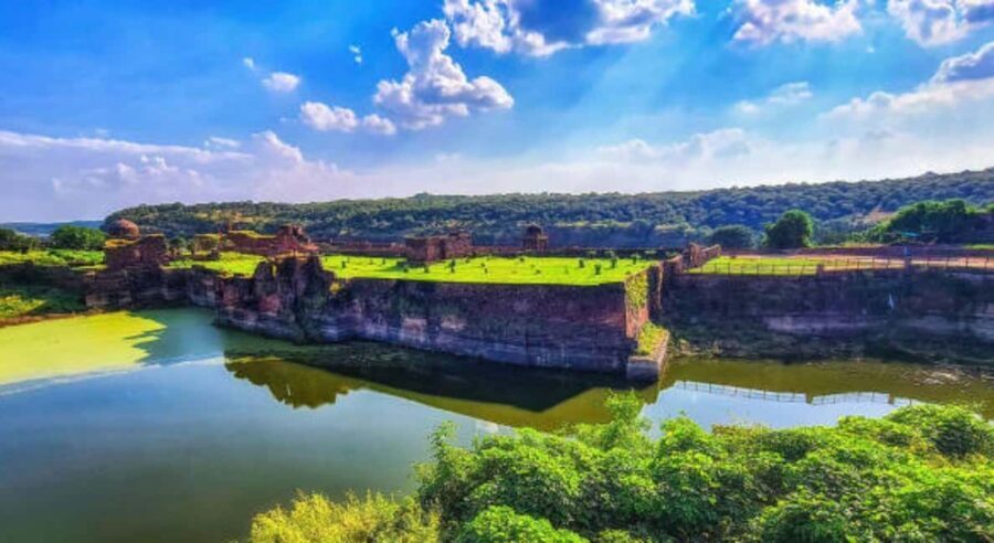 From Jaipur: 1 Night 2 Days Ranthambore Tiger Safari Tour - What Makes This Tour Stand Out?