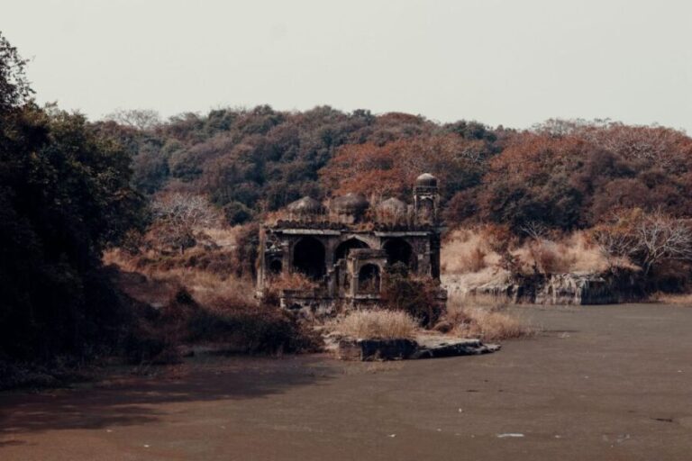 From Jaipur : 2 Days Ranthambore Tiger Safari Tour By Car - Analyzing Value and Experience