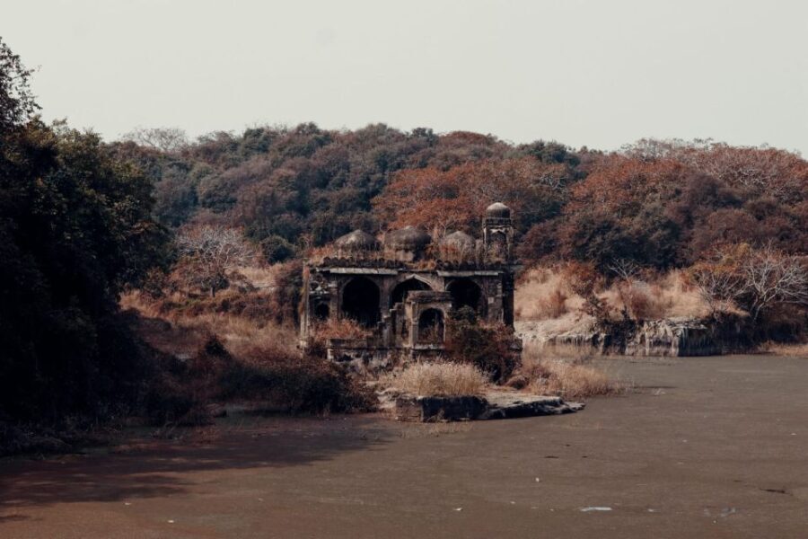 From Jaipur : 2 Days Ranthambore Tiger Safari Tour By Car - Analyzing Value and Experience