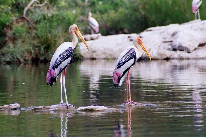 From Jaipur: Bird Safari and Agra sightseeing All-Inclusive - Bharatpur Bird Sanctuarys Surroundings