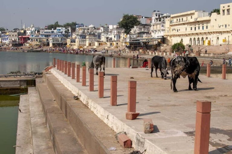 From Jaipur: Pushkar to Jodhpur Guided Tour - Value and Practicalities
