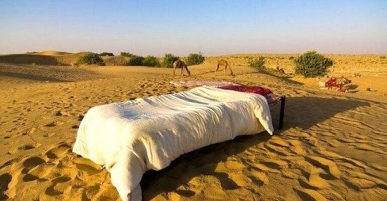 From Jaisalmer: Private Trip Under Stars with Camel Safari - An Authentic Adventure in Rajasthan’s Thar Desert