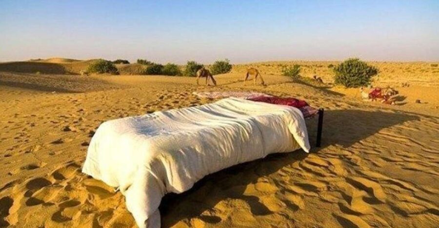 From Jaisalmer: Private Trip Under Stars with Camel Safari - An Authentic Adventure in Rajasthan’s Thar Desert