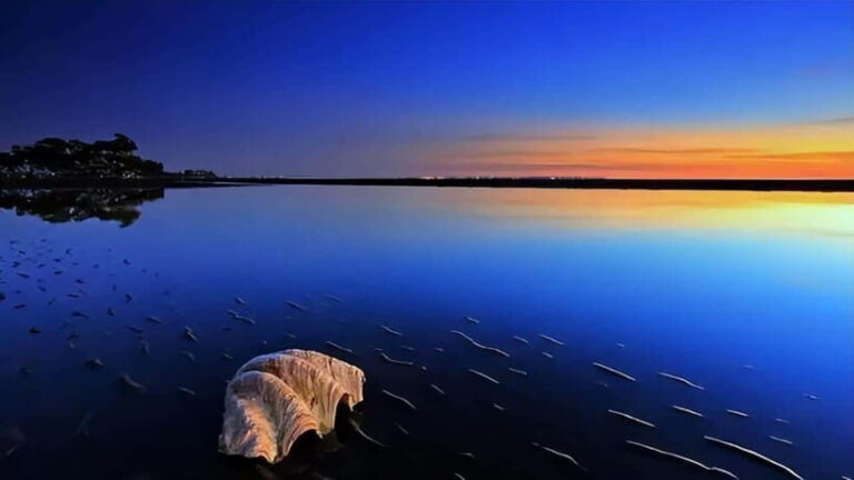 From Kashgar: 5-Day Silk Road Adventure with Accommodation - The Value of This Experience