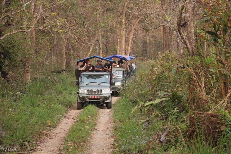 From Kathmandu: 3-Day Chitwan National Park Tour - Practical Tips for Travelers