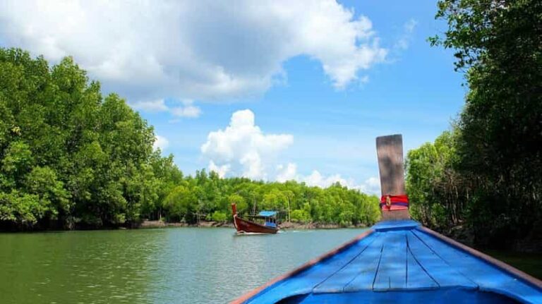 From Ko Lanta: Mangrove Eco-Excursion by Longtail Boat - Discovering the Mangroves: What to Expect