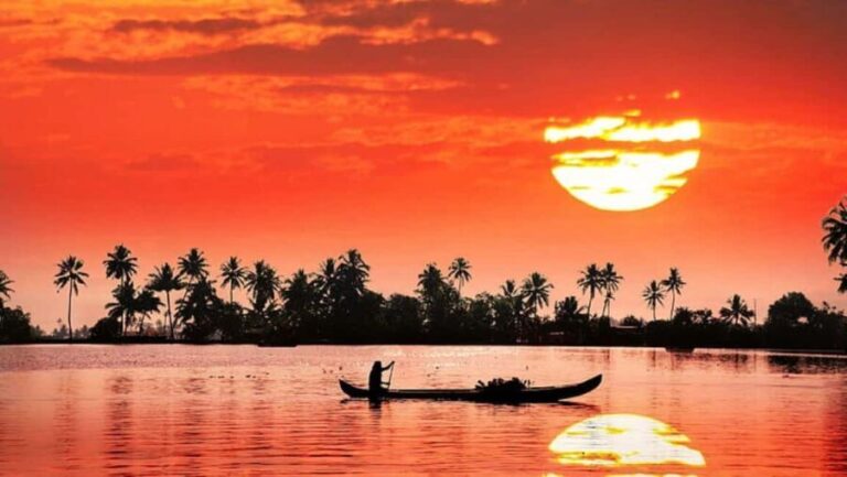 From Kochi:- 03 Days Cochin with Munnar Hill Station Tour - What’s the Experience Like?