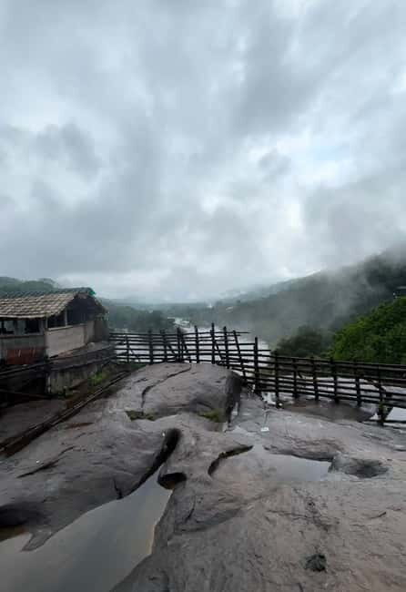 From Kochi: Athirappilly Waterfalls Day Trip with Transfers - What to Expect During the Tour