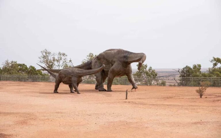 From Longreach: Outback Winton Full Day Tour - Who Will Love This Tour?