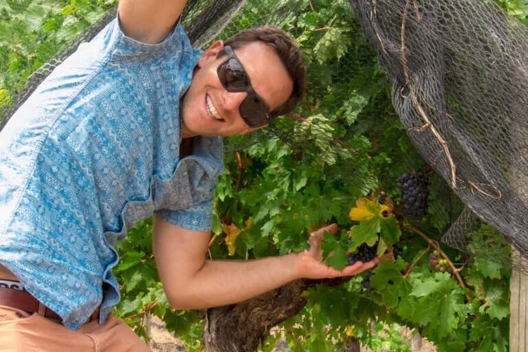 From Margaret River: Margaret River Wine Adventure - Practical Details: What It’s Like to Take the Tour