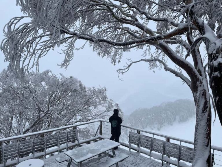 From Melbourne: 5-Day Snow to Surf Trip on Great Alpine Road - What to Expect: Practical Details and Tips