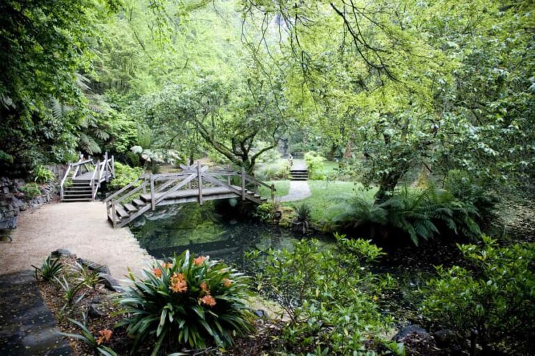 From Melbourne: Dandenong Ranges Private Day Tour - Key Points
