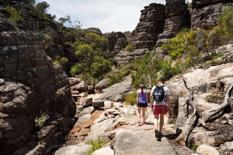 From Melbourne Grampians National Park Kangaroos Guided Tour - Why This Tour Works Well