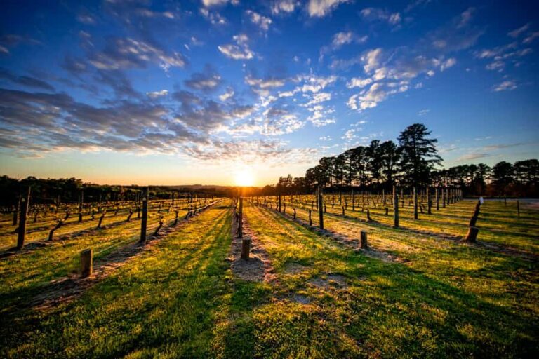 From Melbourne: Mornington Peninsula Food & Wine Taste Trail - Final Thoughts