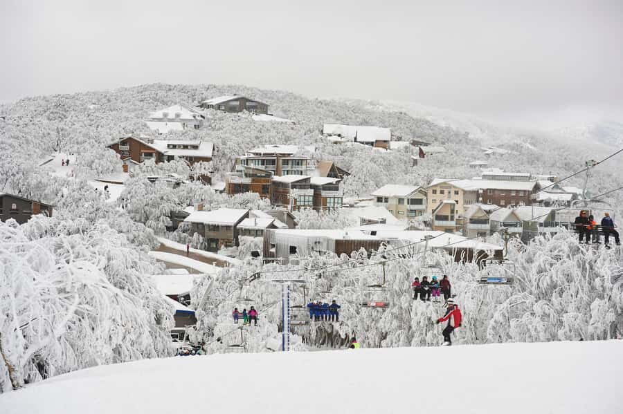 From Melbourne: Mount Buller Day Tour with Resort Entry - What Makes Mount Buller Special?