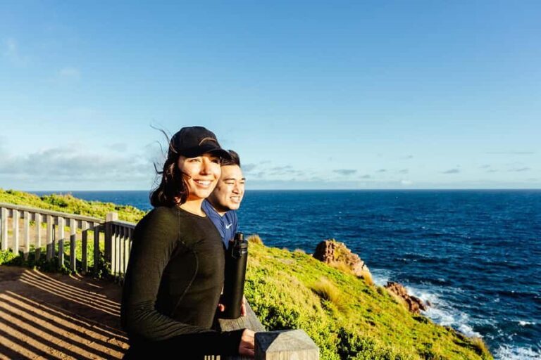From Melbourne: Phillip Island Penguin Parade Express Tour - The Return Trip: Comfort and Convenience